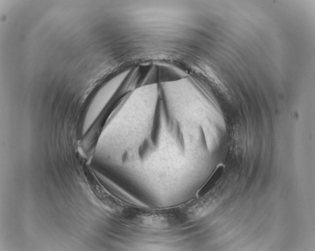 X0000088090500200706011607