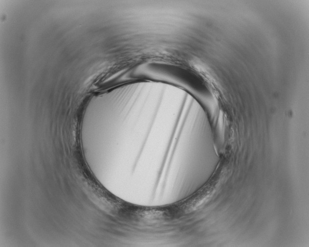 X0000088090501200706011607