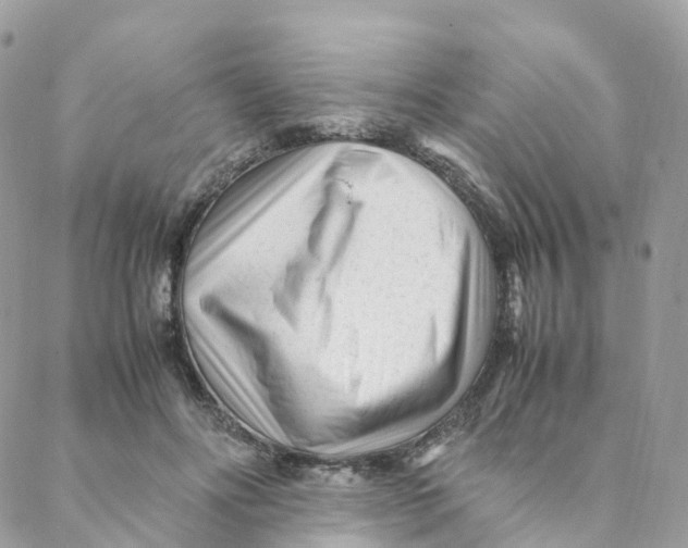 X0000088090502200706011607