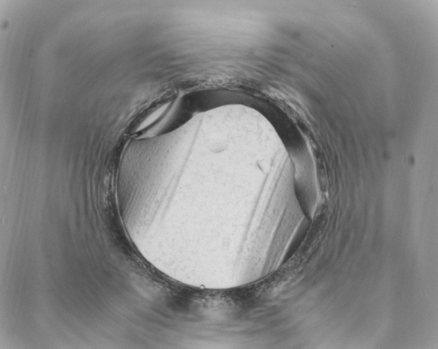 X0000088090503200706011607