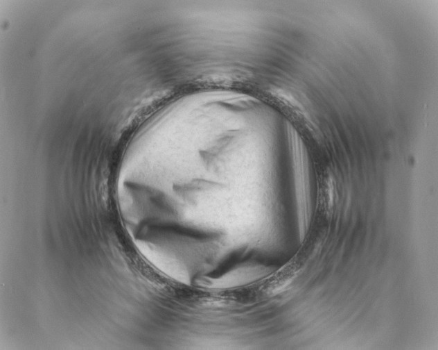 X0000088090504200706011607