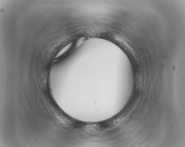 X0000088090505200706011607