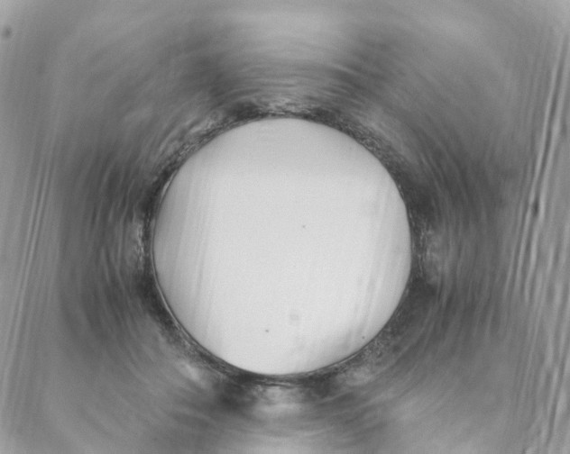 X0000088090506200706011607