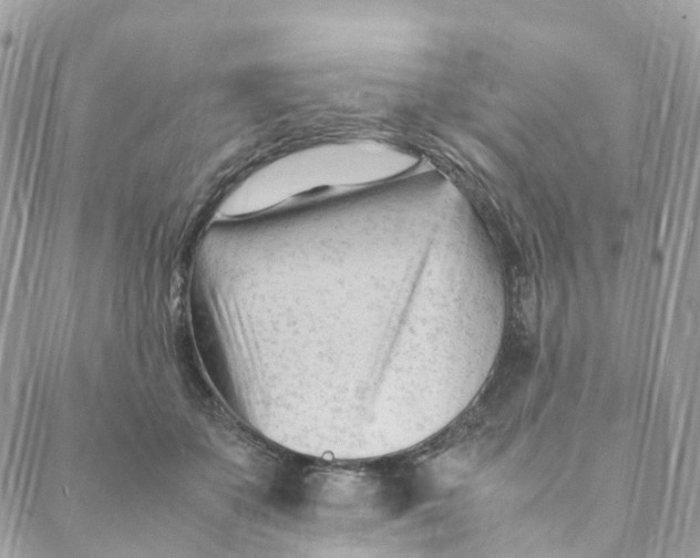 X0000088090507200706011607