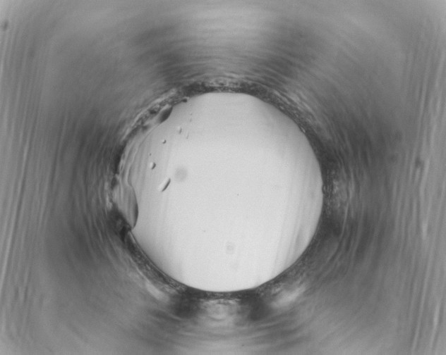 X0000088090508200706011607