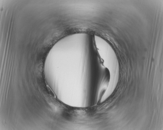 X0000088090509200706011607