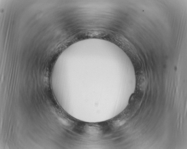 X0000088090510200706011607