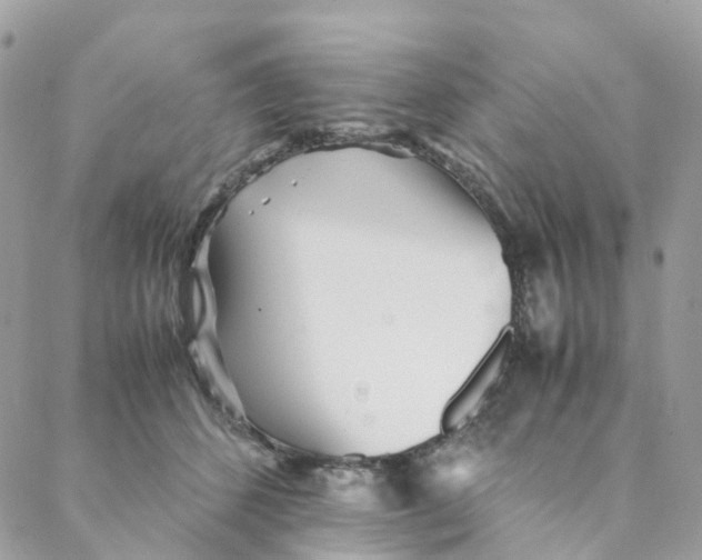 X0000088090512200706011607