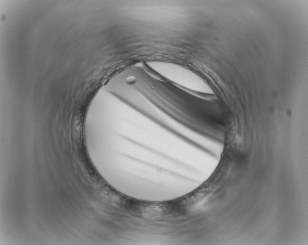 X0000088090513200706011607