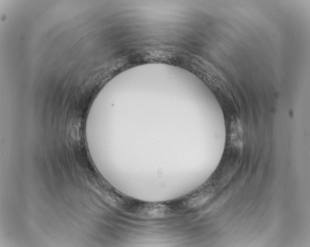 X0000088090514200706011607