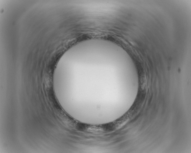 X0000088090515200706011607