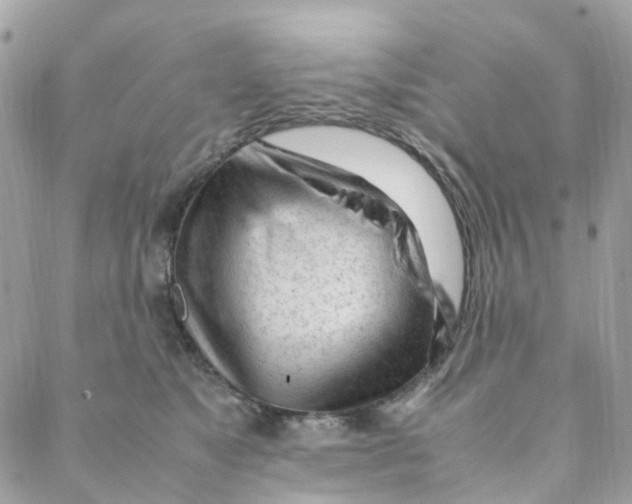 X0000088090517200706011607