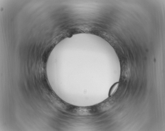 X0000088090518200706011607