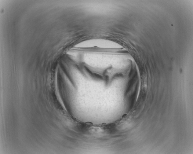 X0000088090519200706011607