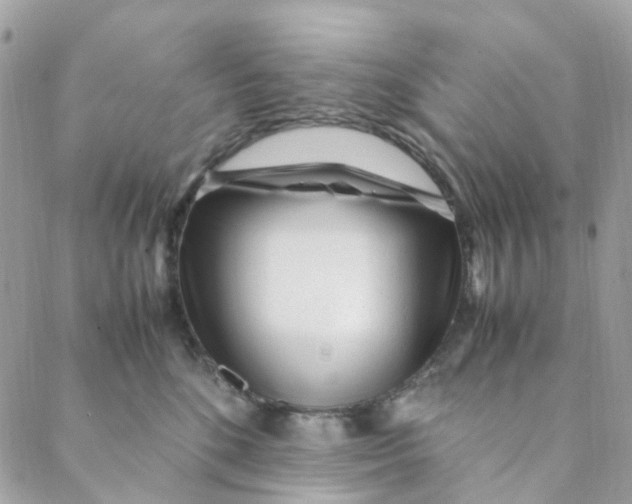 X0000088090520200706011607