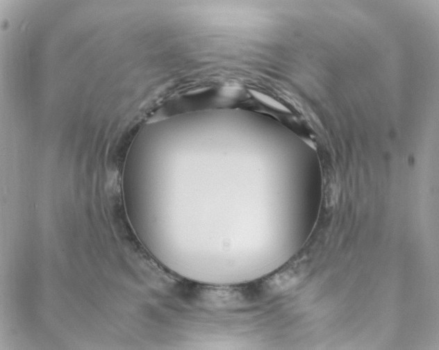 X0000088090521200706011607