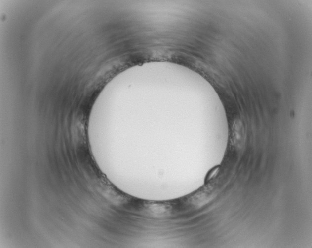 X0000088090522200706011607