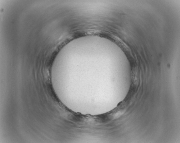 X0000088090523200706011607