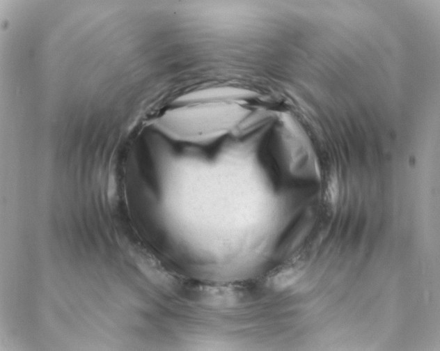 X0000088090524200706011607