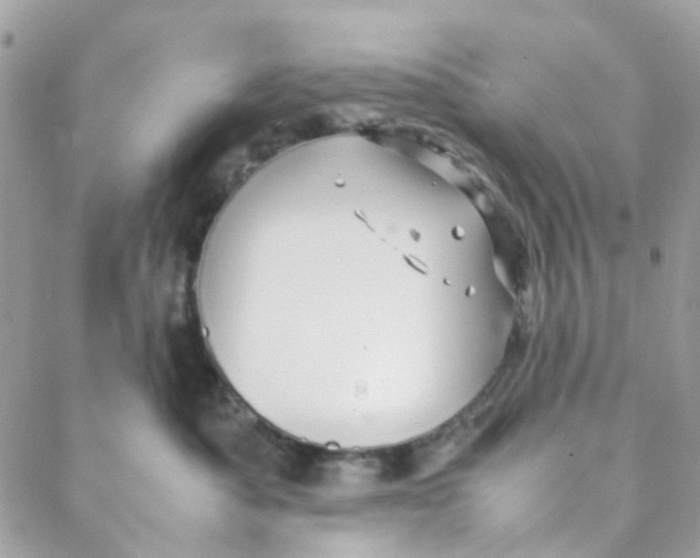 X0000088090525200706011607