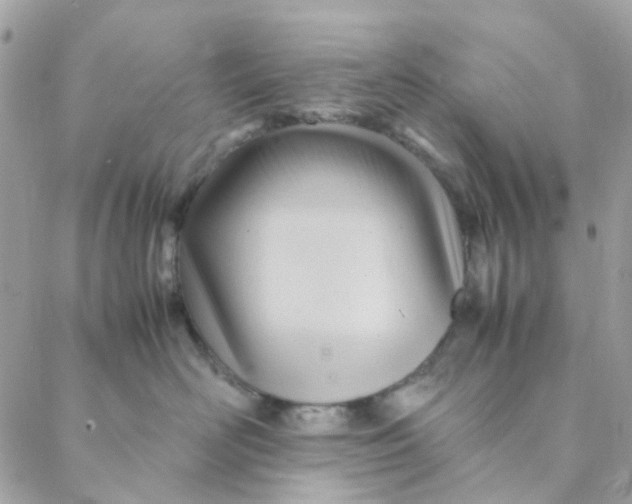 X0000088090526200706011607