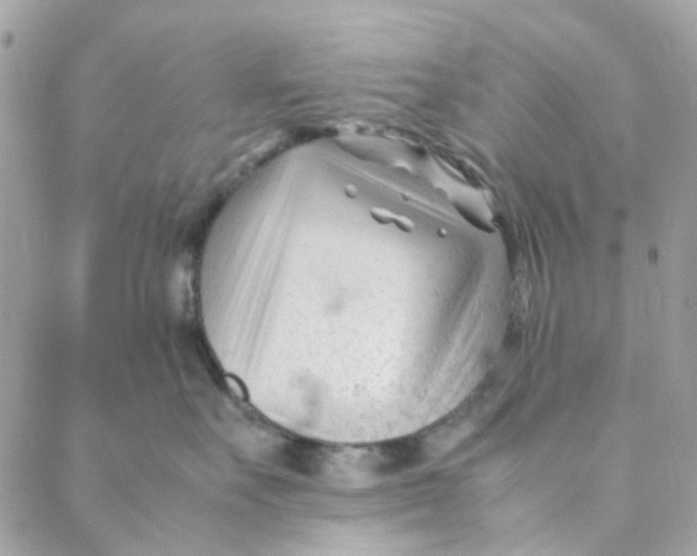 X0000088090527200706011607