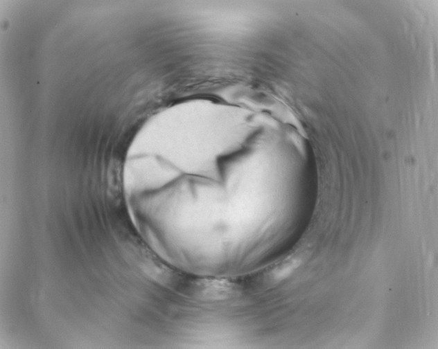 X0000088090528200706011607