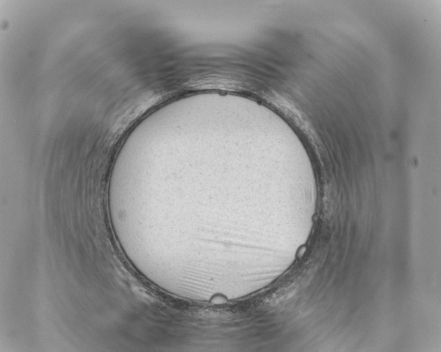 X0000088090529200706011606