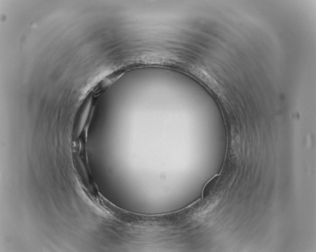 X0000088090530200706011606