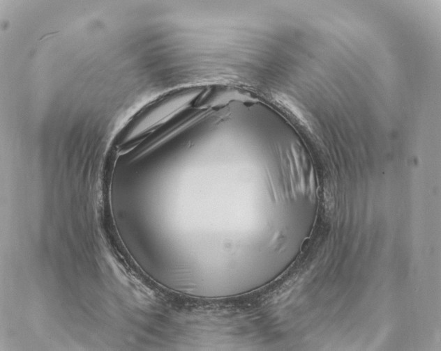 X0000088090532200706011606