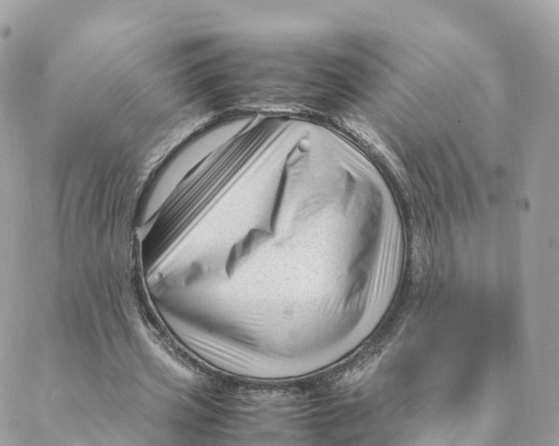 X0000088090533200706011606