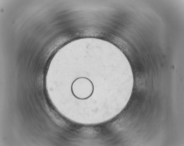 X0000088090534200706011606