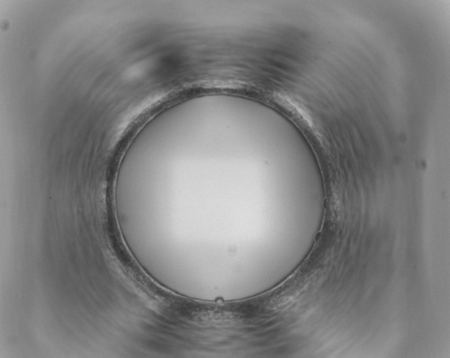 X0000088090535200706011606