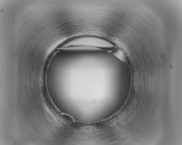 X0000088090536200706011606