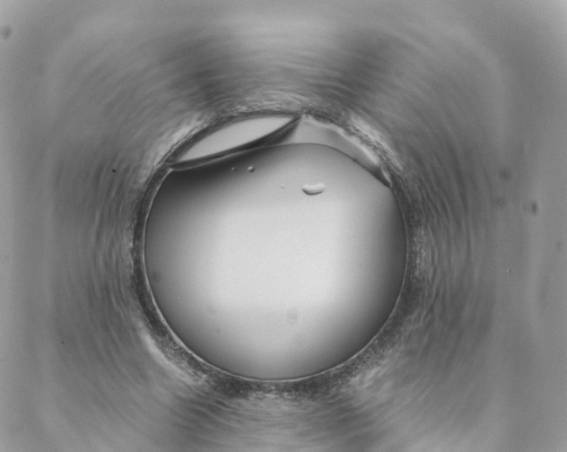 X0000088090538200706011606