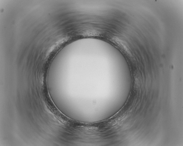 X0000088090539200706011606