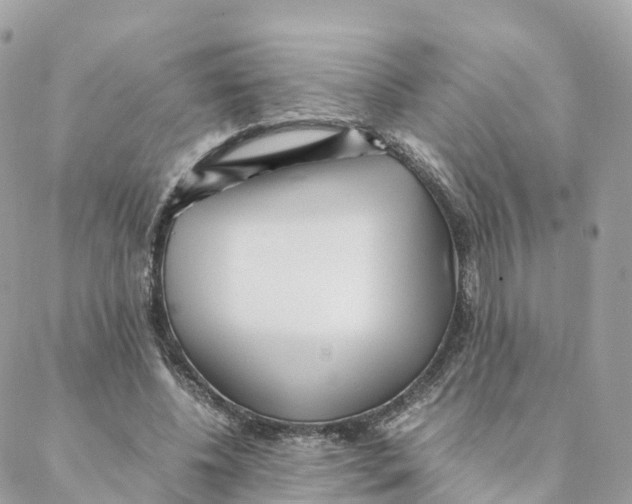 X0000088090540200706011606