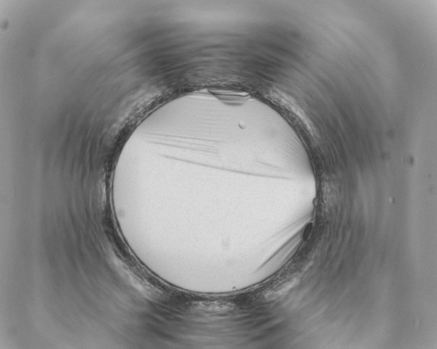 X0000088090541200706011606