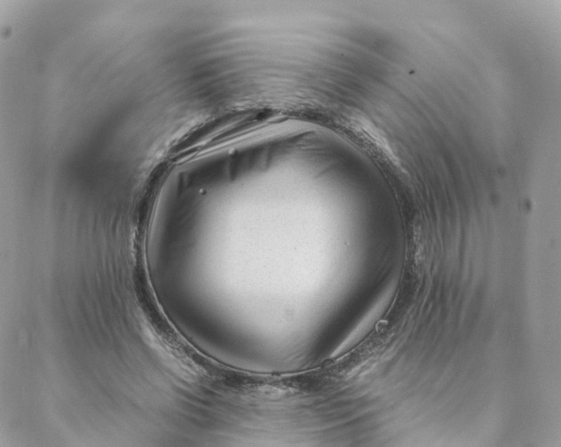 X0000088090542200706011606