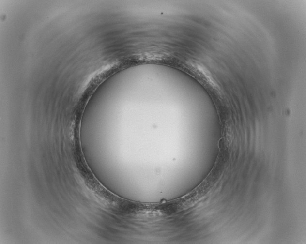 X0000088090543200706011606