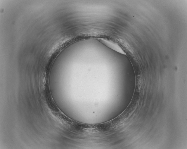 X0000088090544200706011606