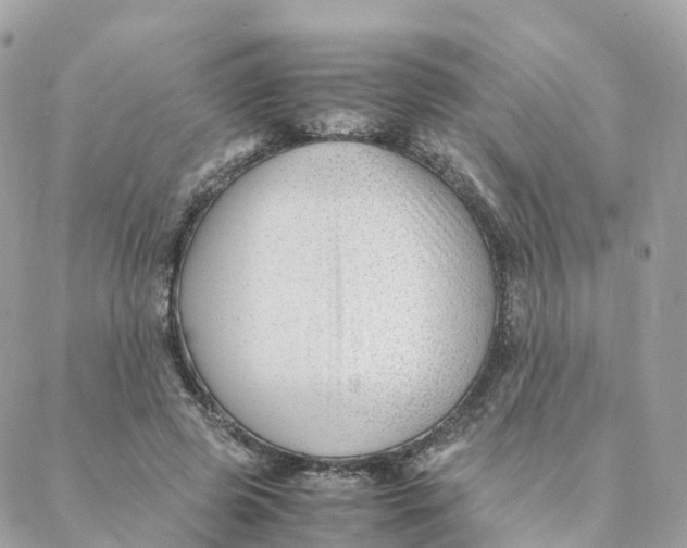 X0000088090545200706011606