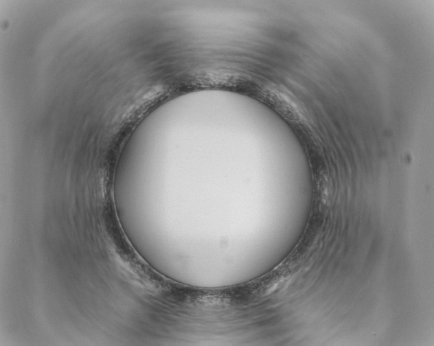 X0000088090546200706011606