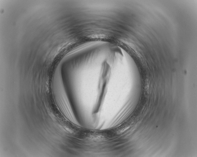 X0000088090547200706011606