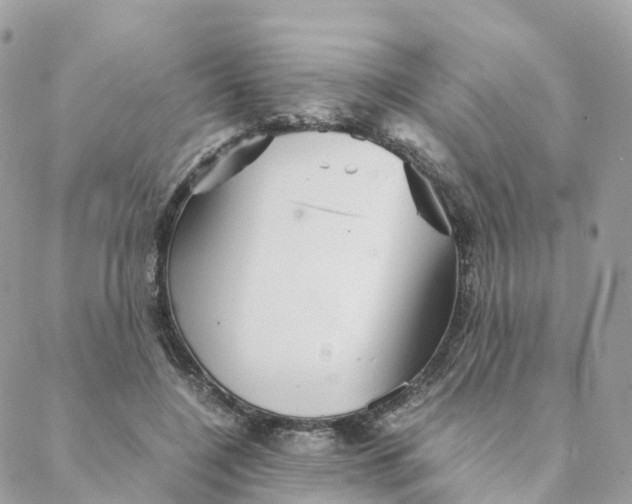 X0000088090548200706011606