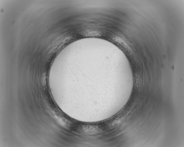 X0000088090549200706011606