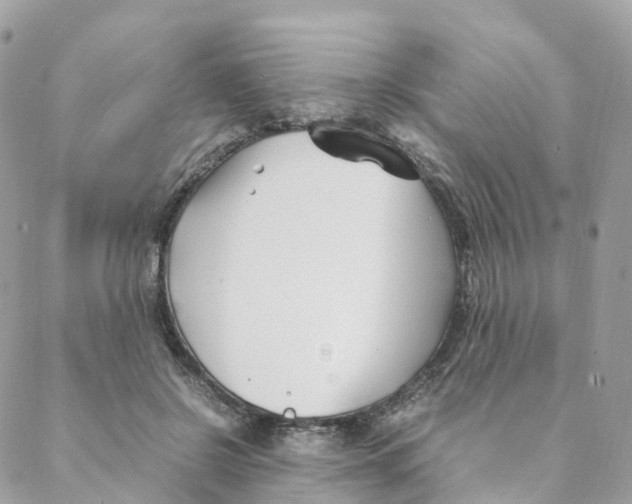 X0000088090550200706011606