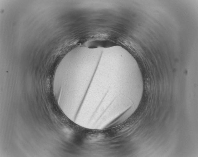 X0000088090551200706011606