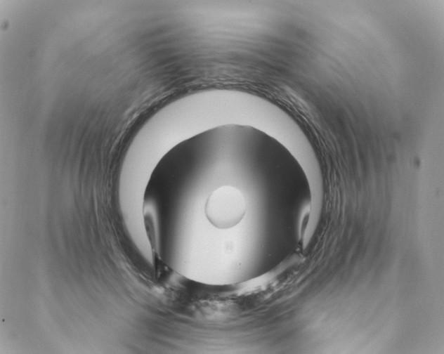 X0000088090552200706011606