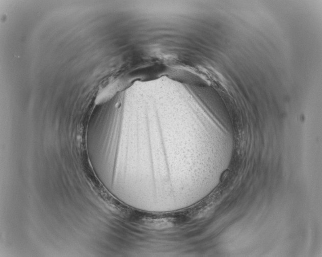 X0000088090553200706011606